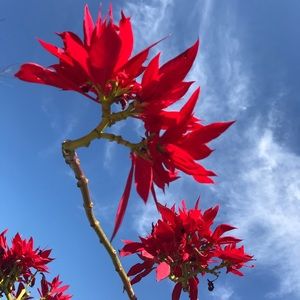 Meet your Posher, Aylin